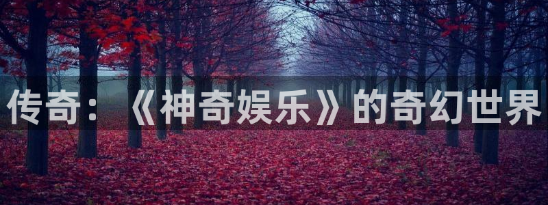 韦德1946官网最新版