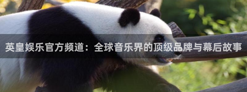 韦德1946娱乐手机版