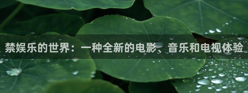 韦德1946最新网站