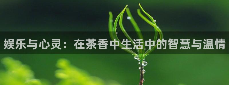 韦德1946体育官方入口