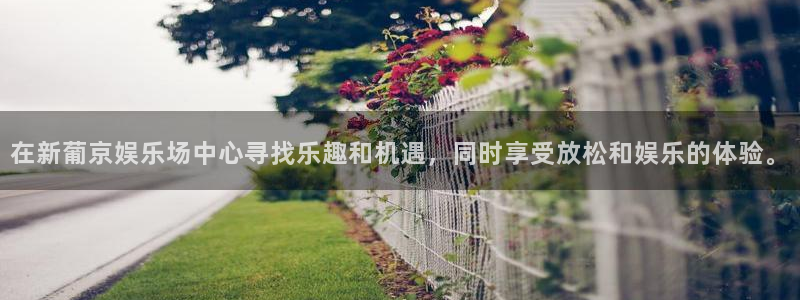 韦德1946娱乐