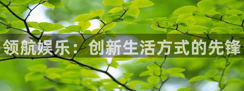 韦德1946娱乐