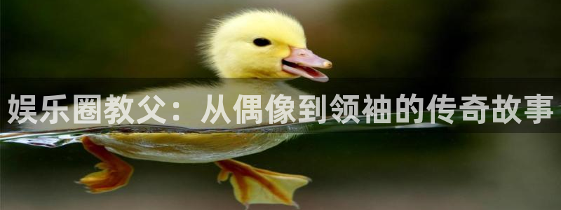 韦德1946安卓二维码