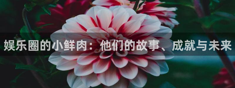 韦德1946体育官方入口