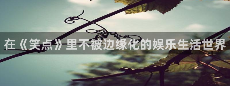 韦德1946网址