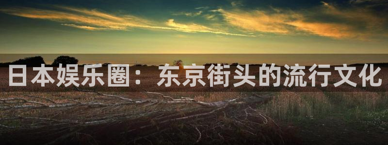 韦德1946网址
