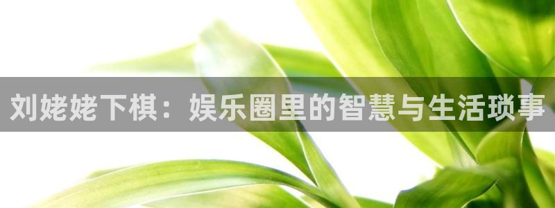 韦德1946