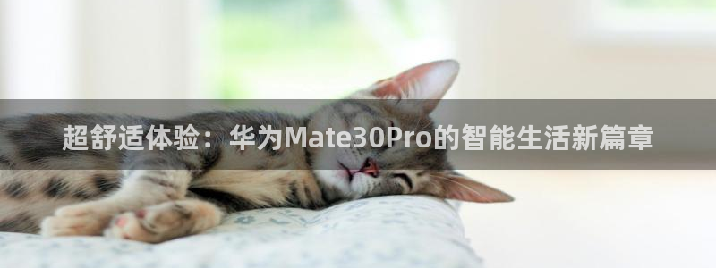 韦德1946网址